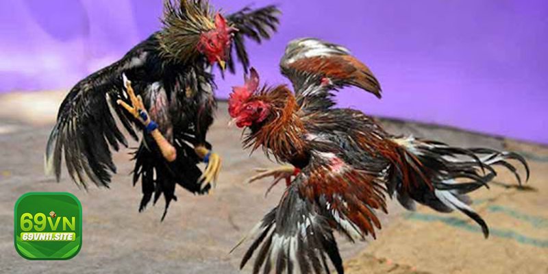 Vảy gà huyền trâm - Phong cách ra đòn: tốc độ vs. tì đè