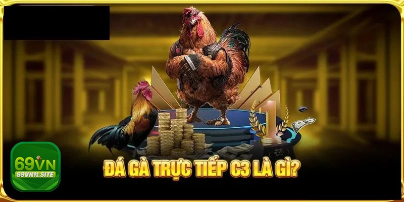 Đá gà cựa dao 69vn11 - Các yếu tố làm nên sức hút